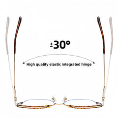 TR90 Metal Butterfly Glasses Frame