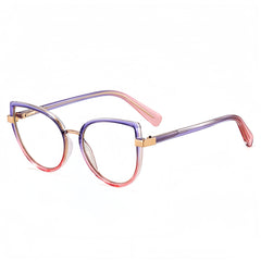 TR90 Gradient Glasses Frames